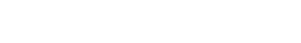 보장분석